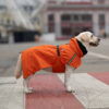 Дощовик для собак Rio Orange помаранчевий