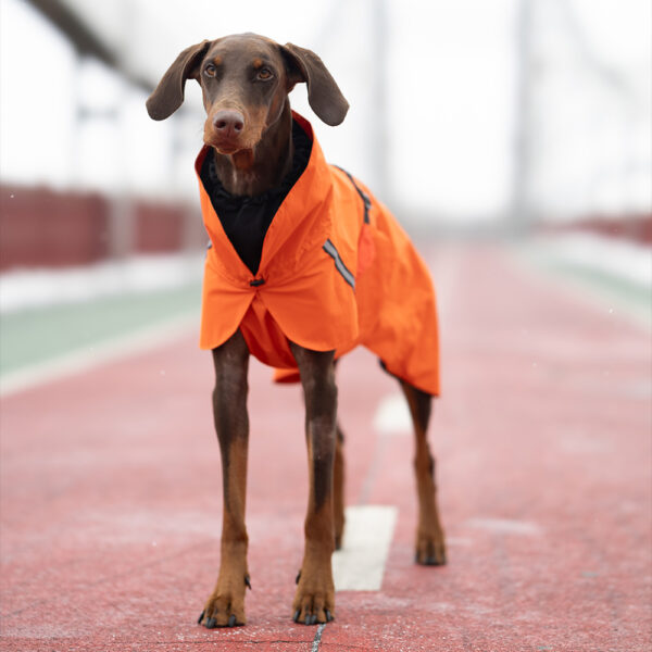 Водонепроникний дощовик для собак Noble Pet