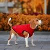 Softshell жилет для собак Ostin Red