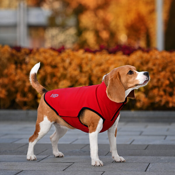 Softshell жилет для собак Ostin Red