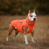 Пуховик для собак Bobby Orange