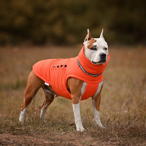 Пуховик для собак Bobby Orange